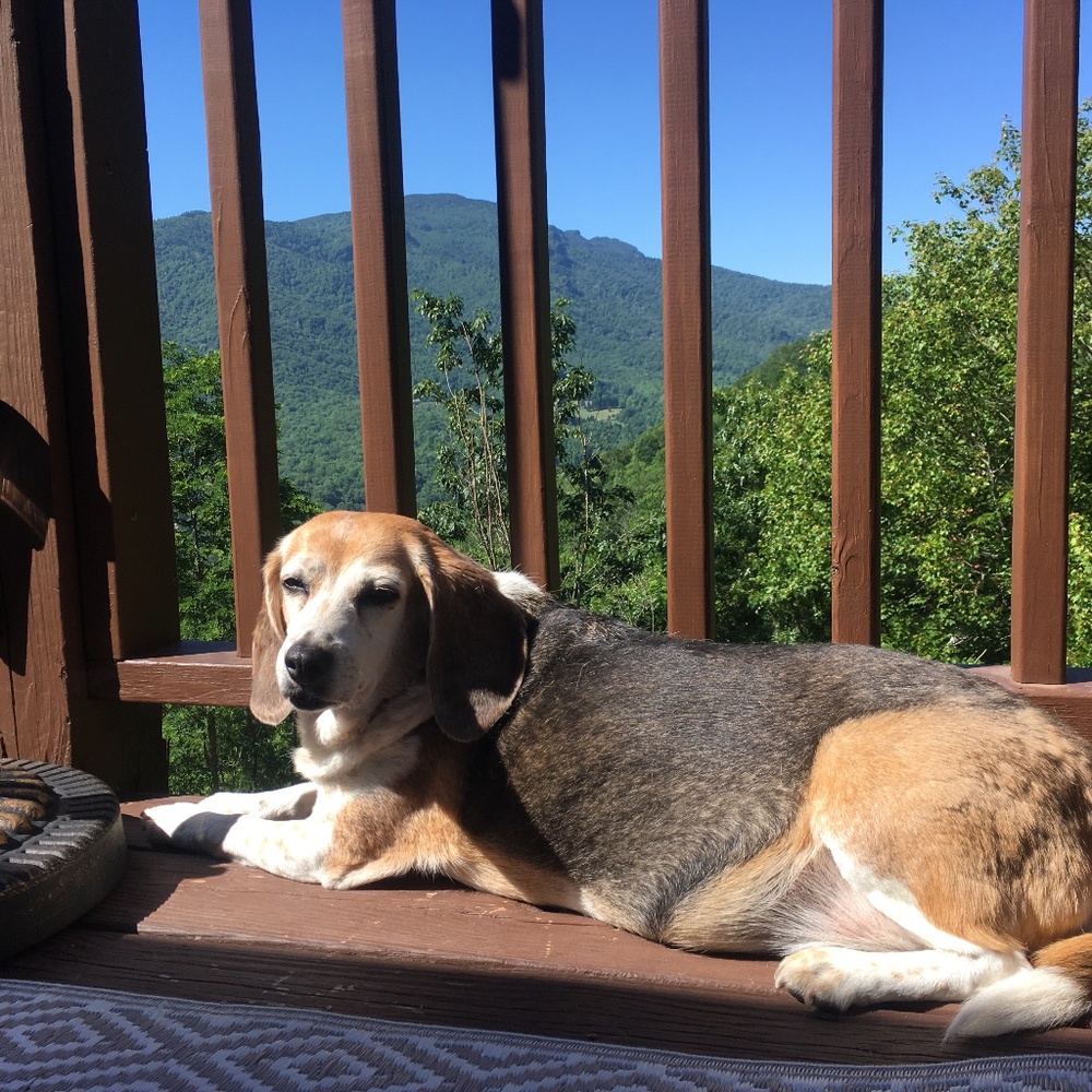 Meet your Posher, Cyndi